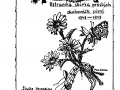 obr_2