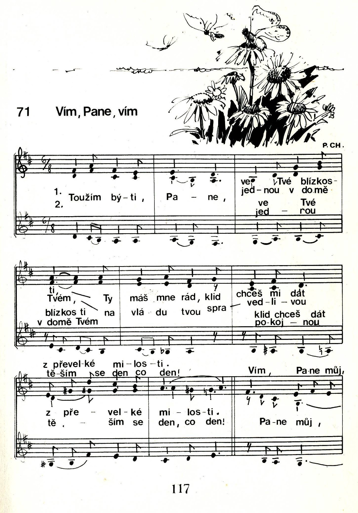 71 Vim Pane vim 1