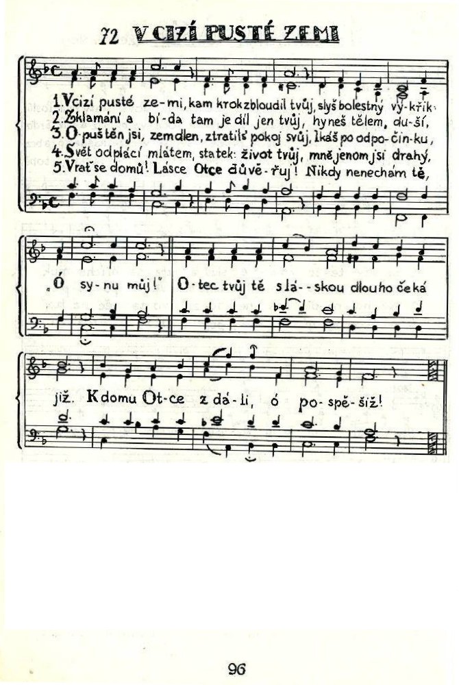 072 V cizi puste zemi